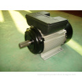 Yl Single-Phase Capacitor Start Induction Electrical Motor (YL90L-2)